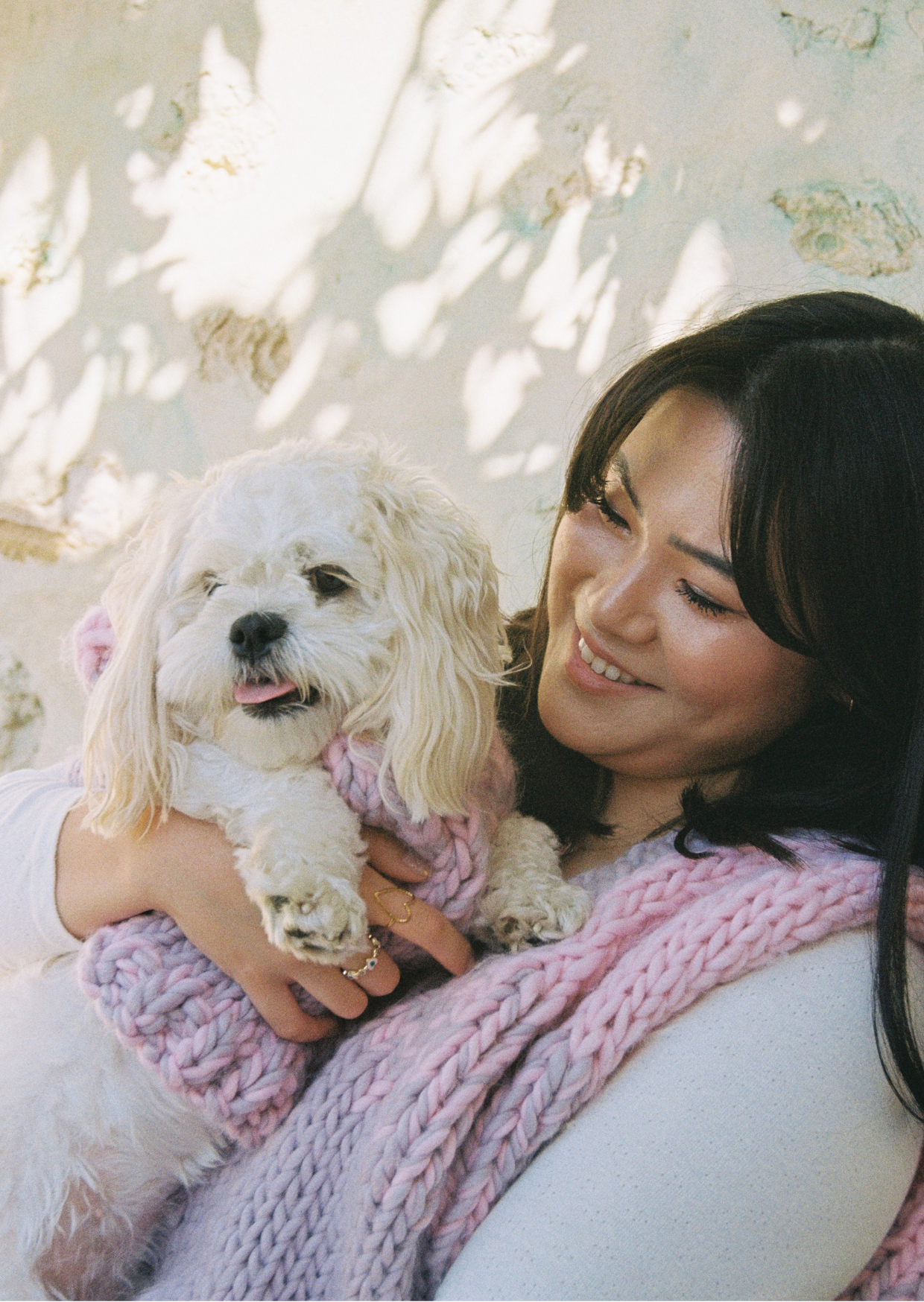 Blair knit pet vest