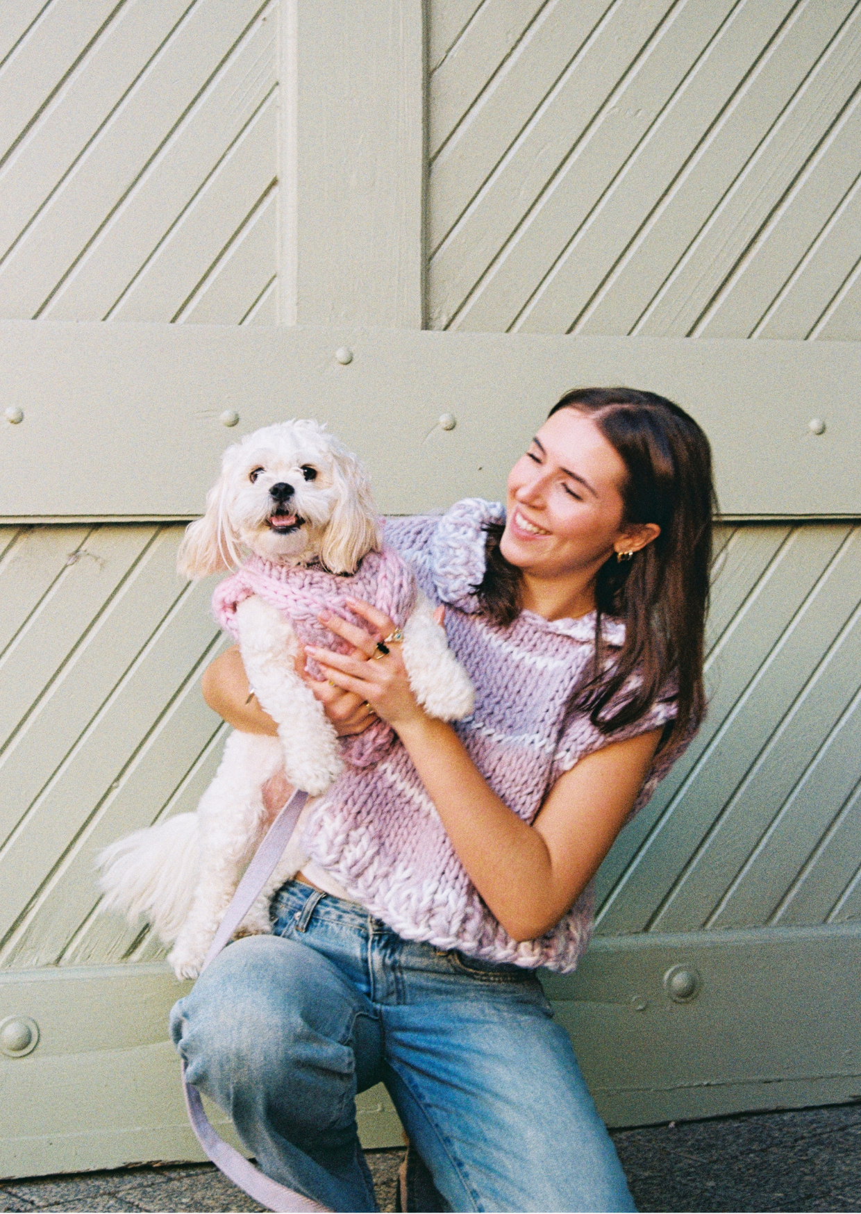 Paris knit pet vest