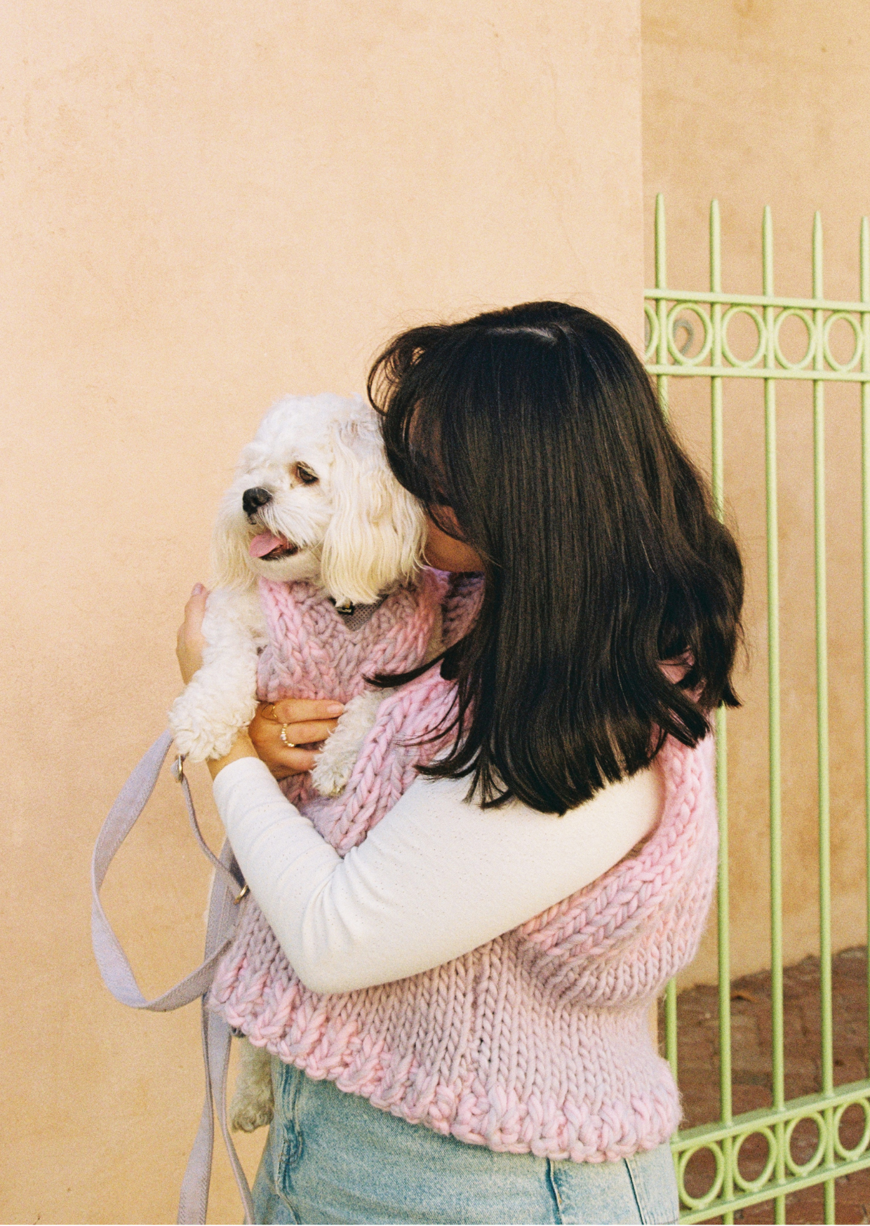 Blair knit pet vest
