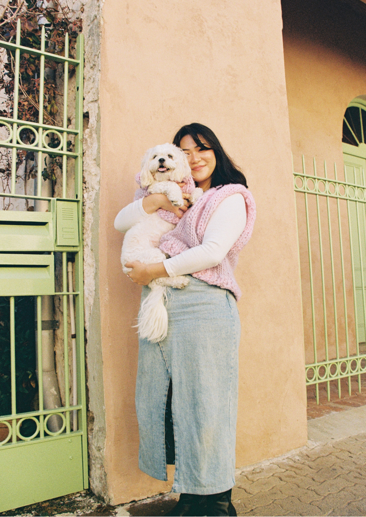 Blair knit pet vest