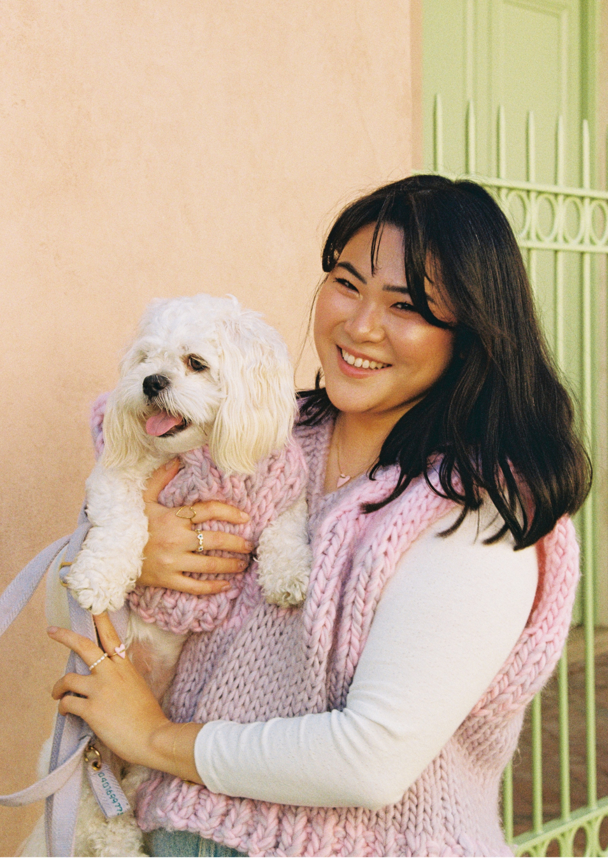 Blair knit pet vest