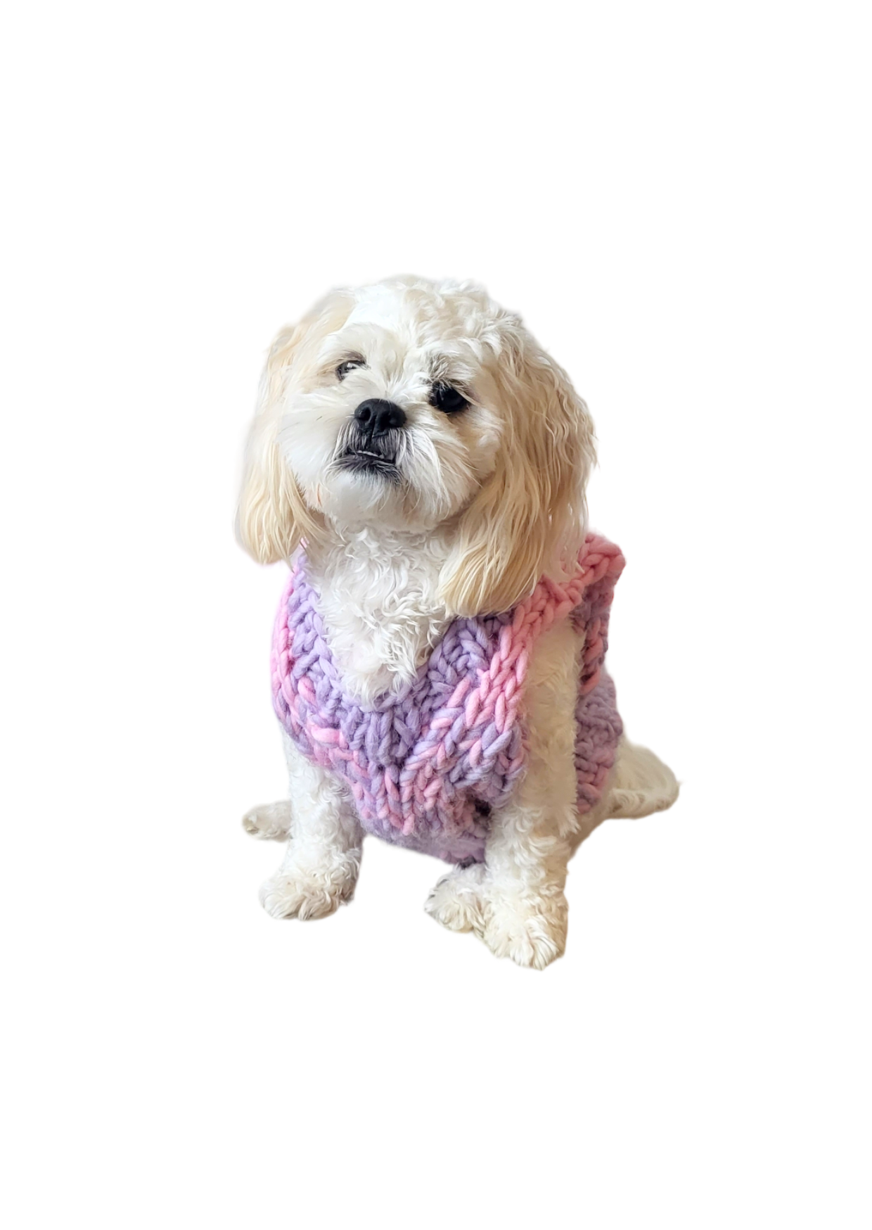 Blair knit pet vest