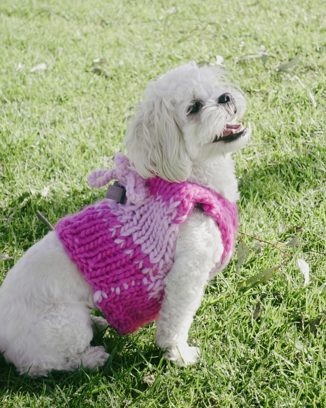 Amelia knit pet vest