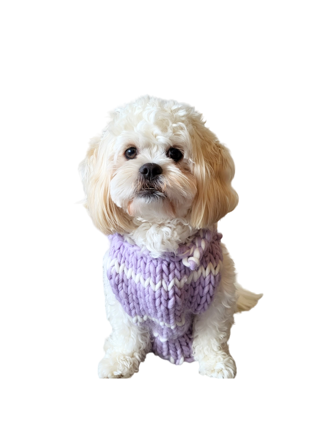 Paris knit pet vest