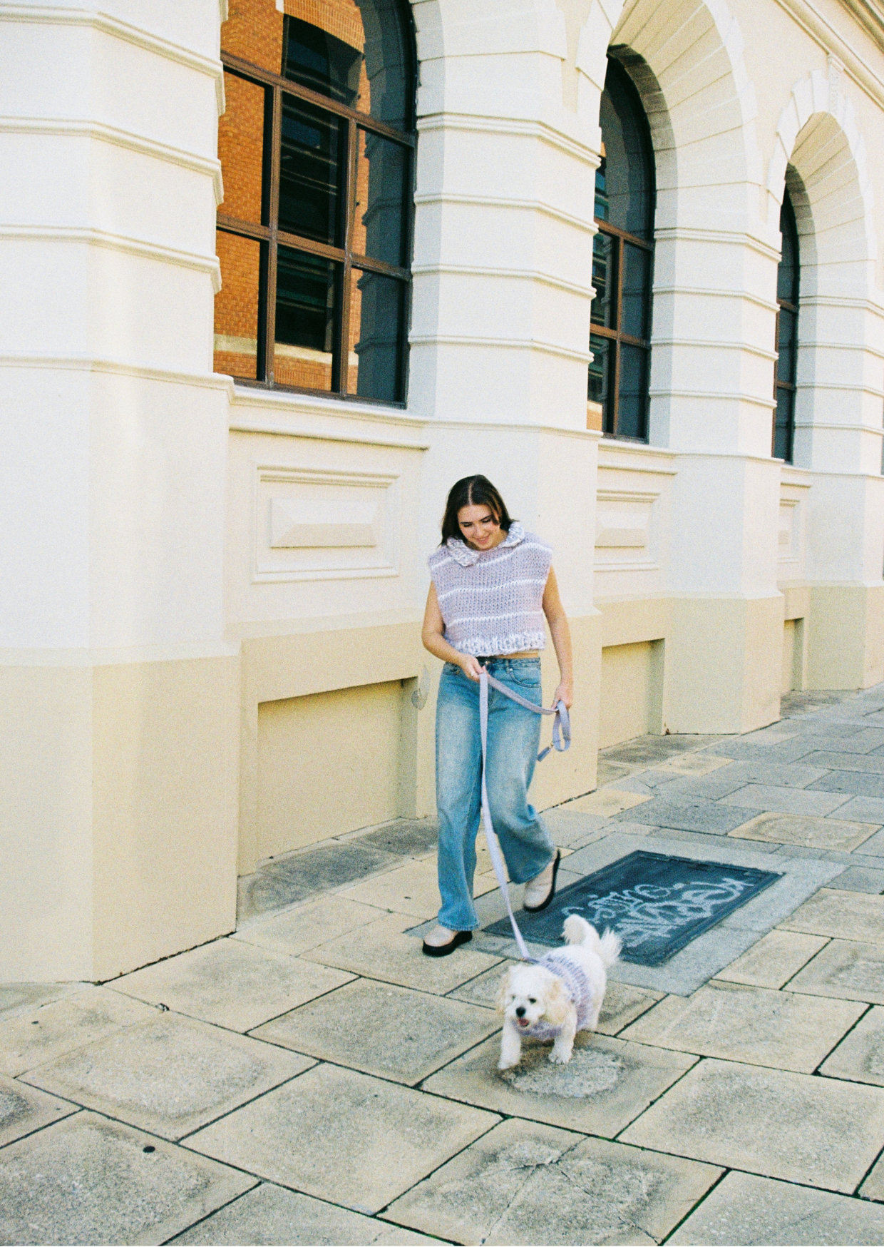 Paris knit pet vest