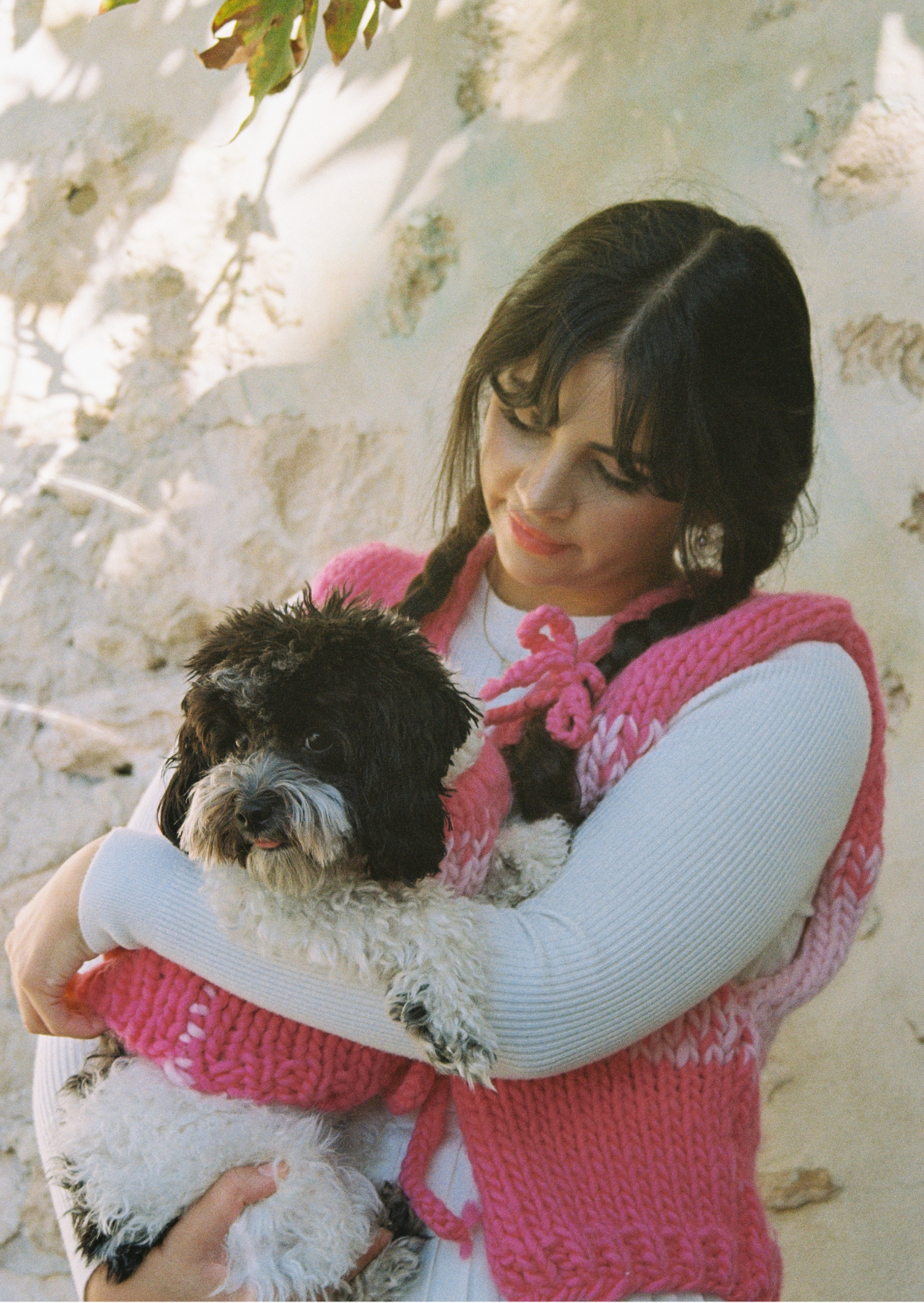 Amelia knit pet vest