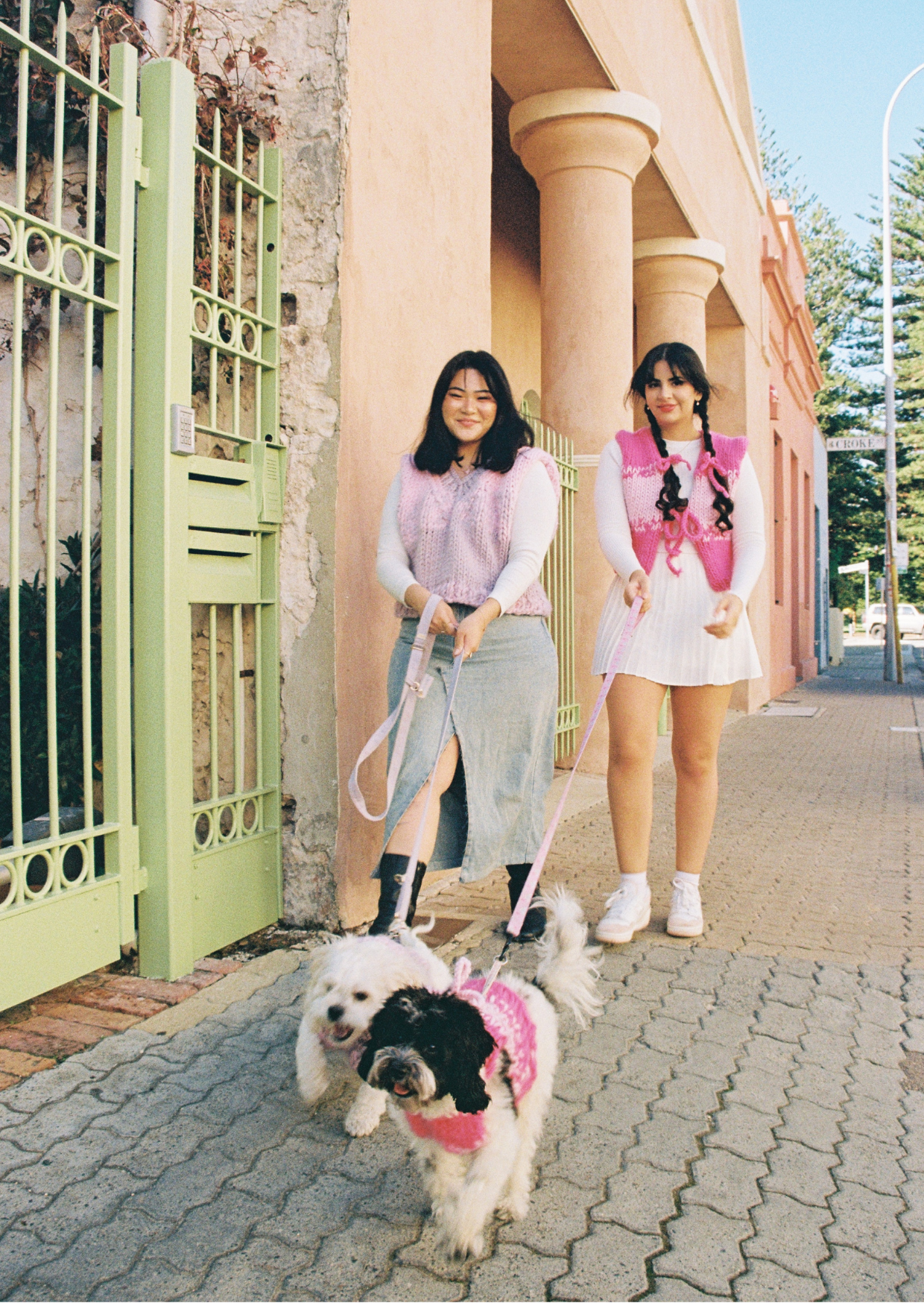 Amelia knit pet vest
