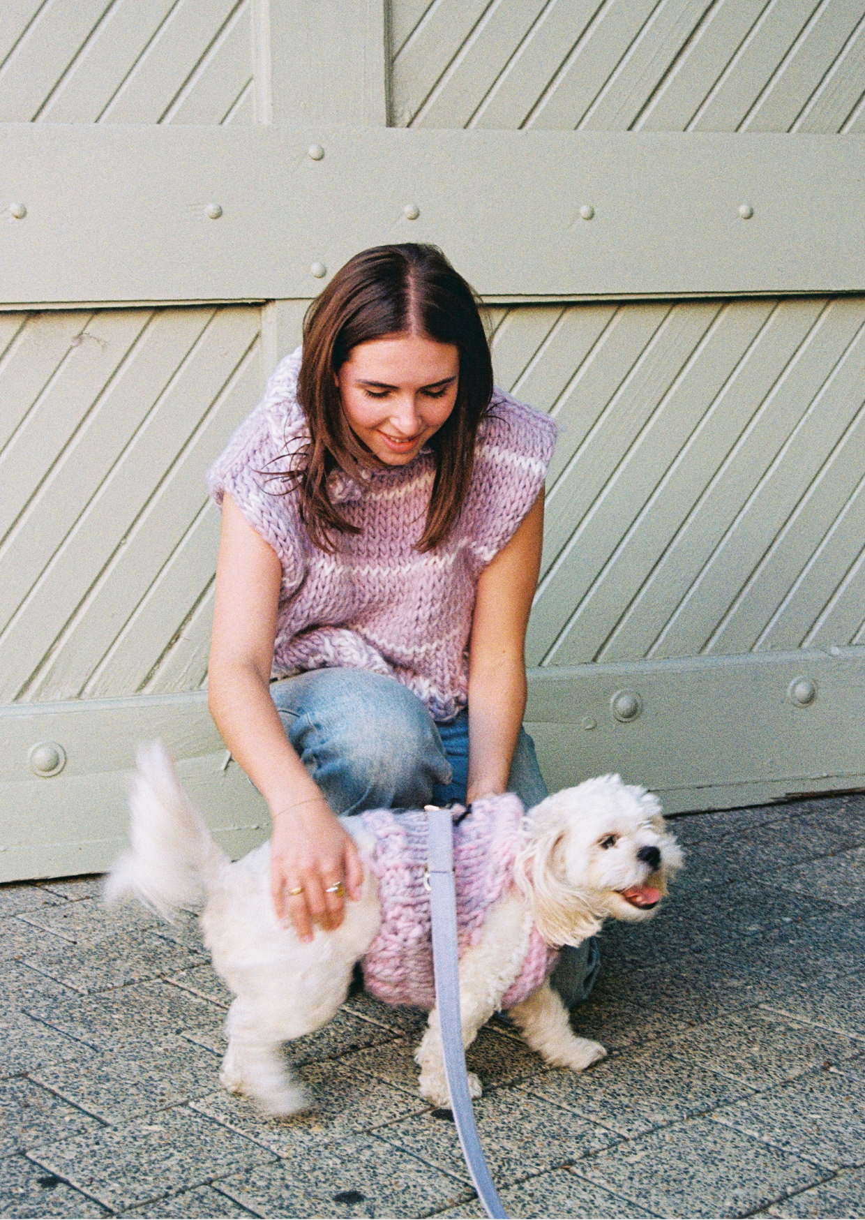 Paris knit pet vest
