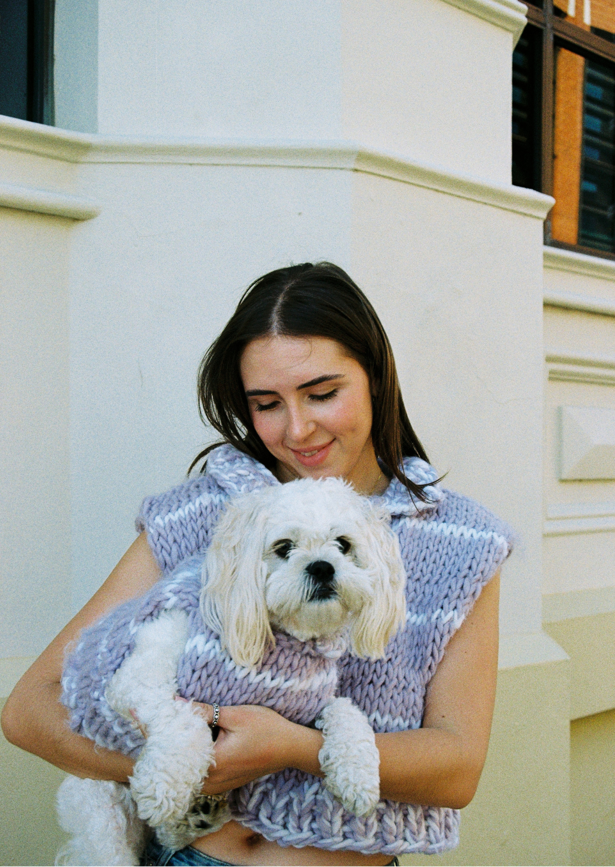 Paris knit pet vest