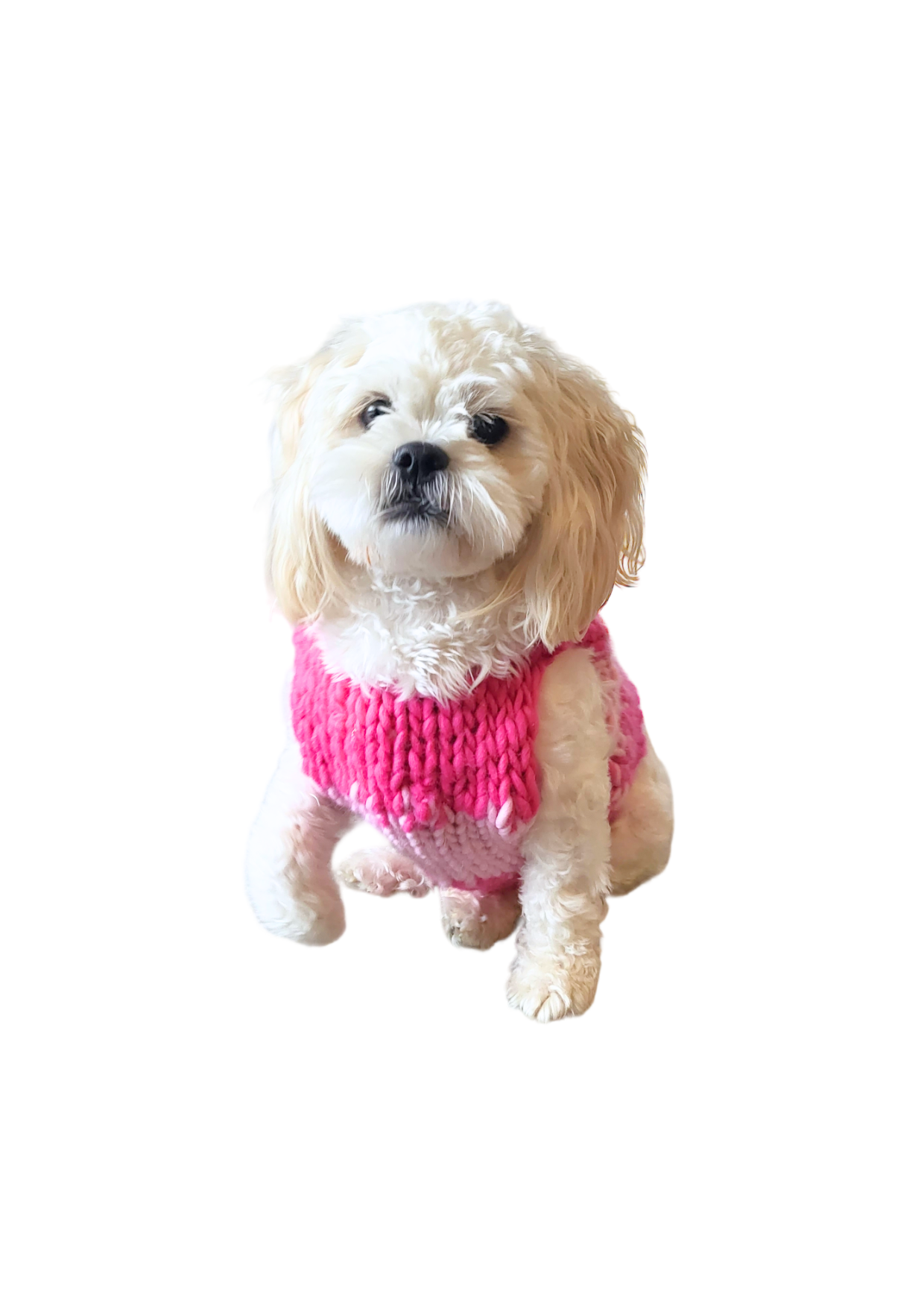 Amelia knit pet vest